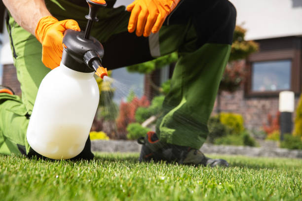 Best Exterminator Services  in Royal Kunia, HI