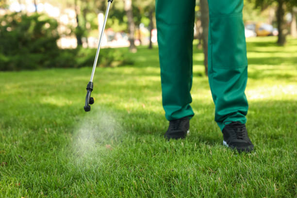 Best Termite Control Services  in Royal Kunia, HI