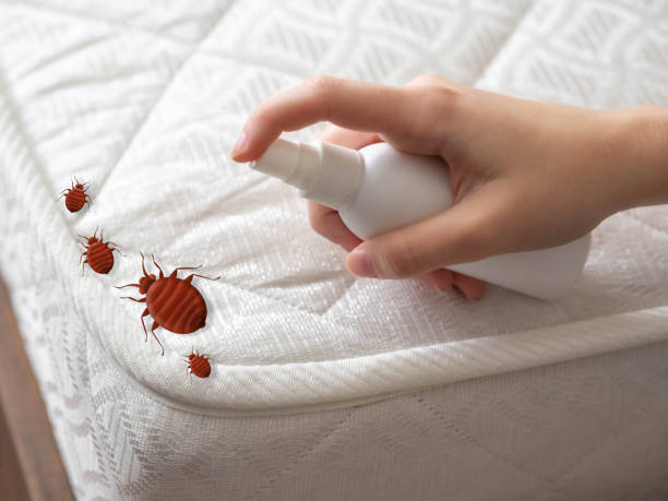 Flea Control Services in Royal Kunia, HI