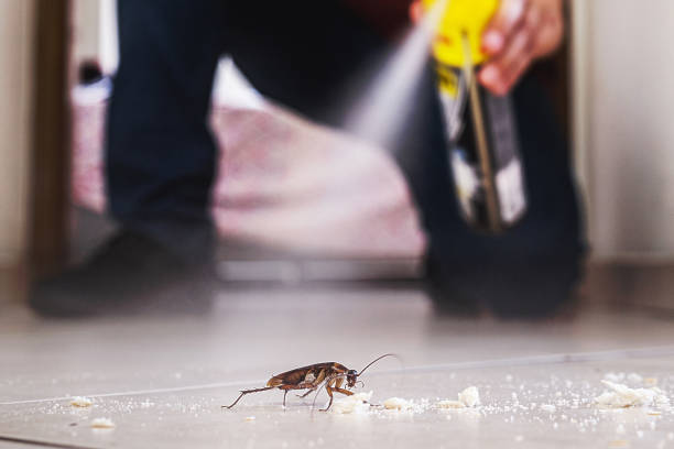 Best Best Pest Control Companies  in Royal Kunia, HI